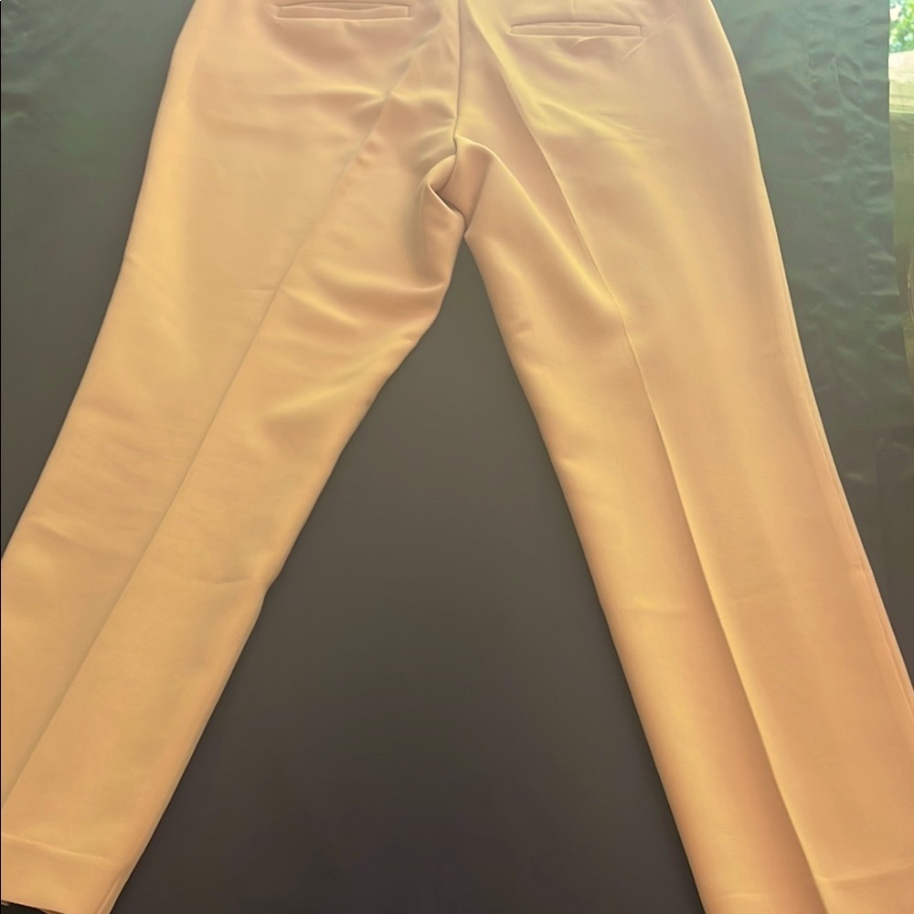 Ann Taylor Pink Pants